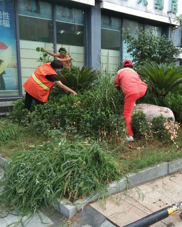 大石桥办事处精细化管理项目
